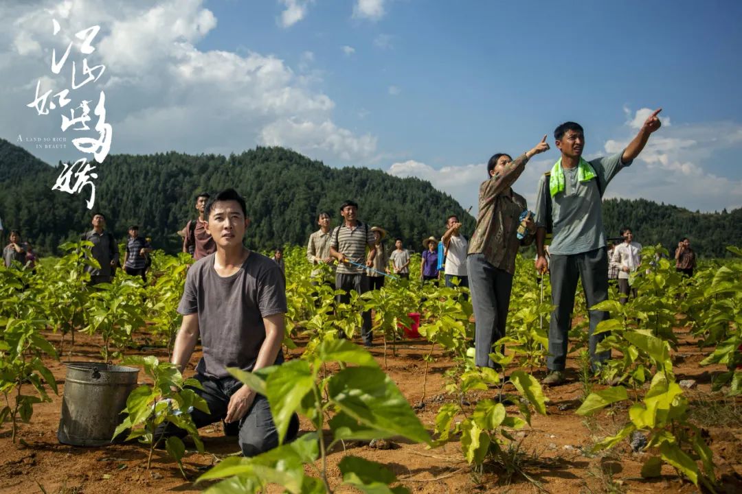 走出京味、海派的舒适圈，多点开花的地域性剧集进入复合价值时代