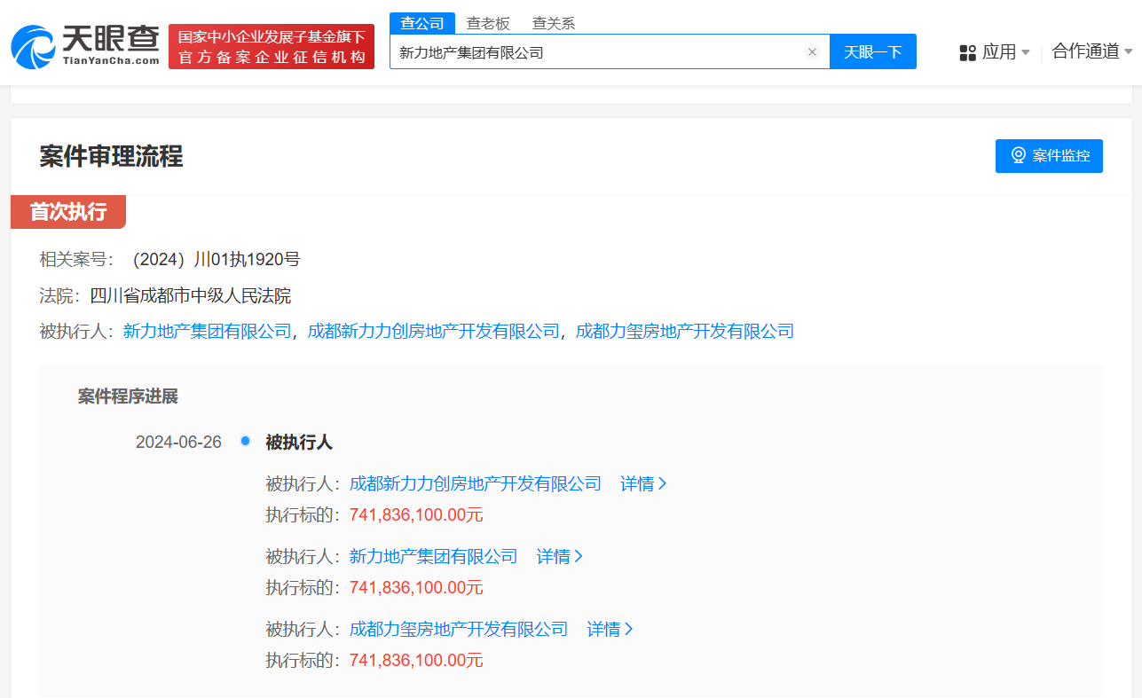 新力地产等被强制执行7.4亿