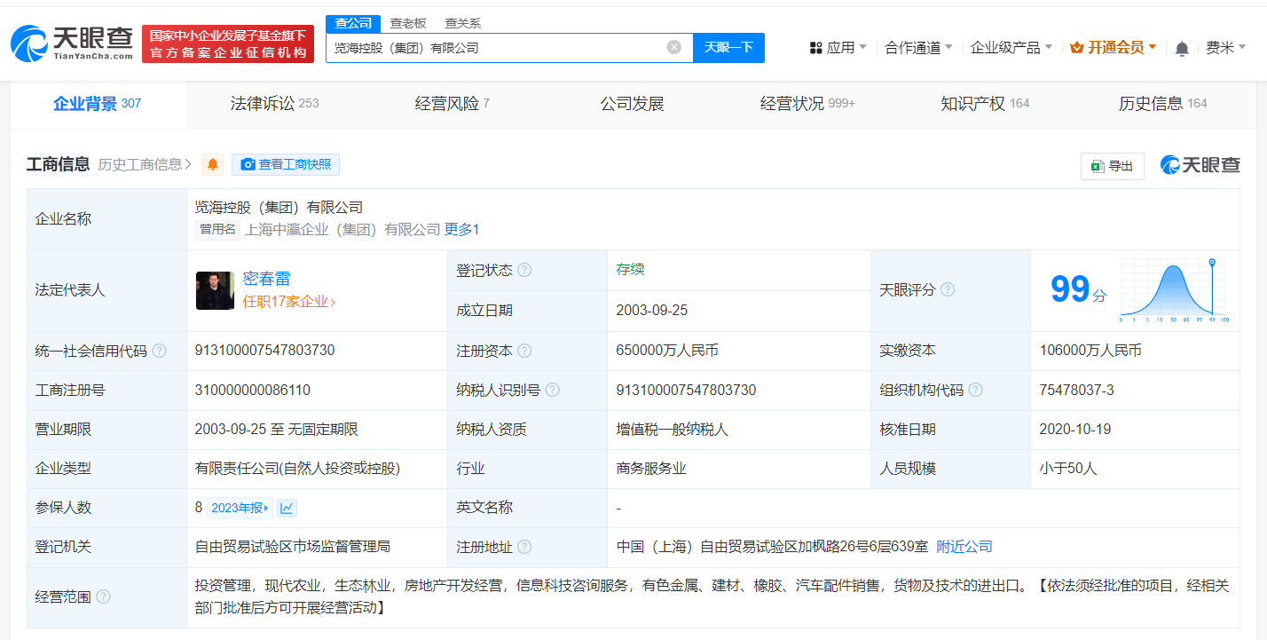 览海控股等被强制执行9.5亿