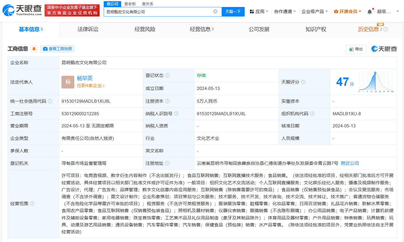 小英公司由其个人全资持股