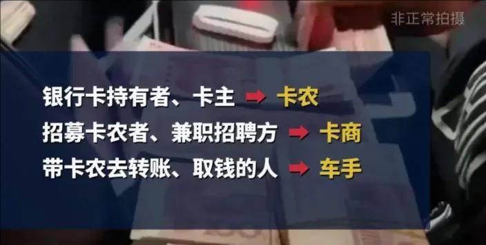 半小时两千,日薪10万！迷信高薪的他们成被操控的背罪工具…