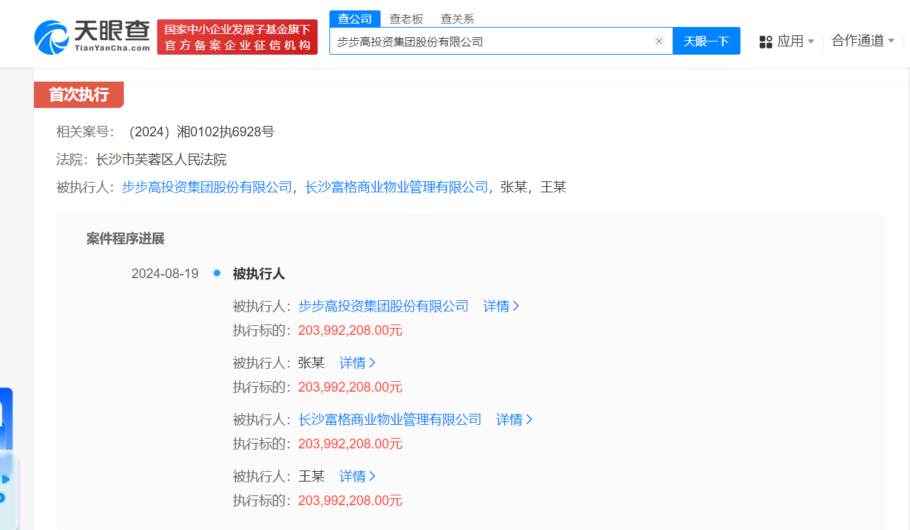 步步高投资集团等被强执2亿