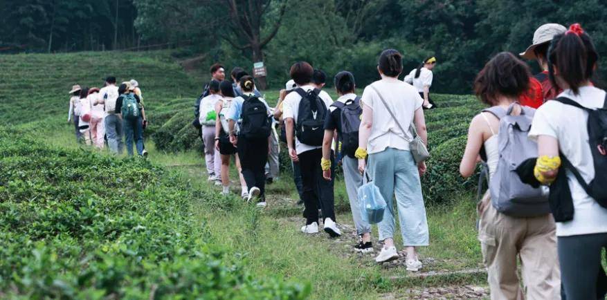 户外营销这件事，“野人计划”越跑越丝滑