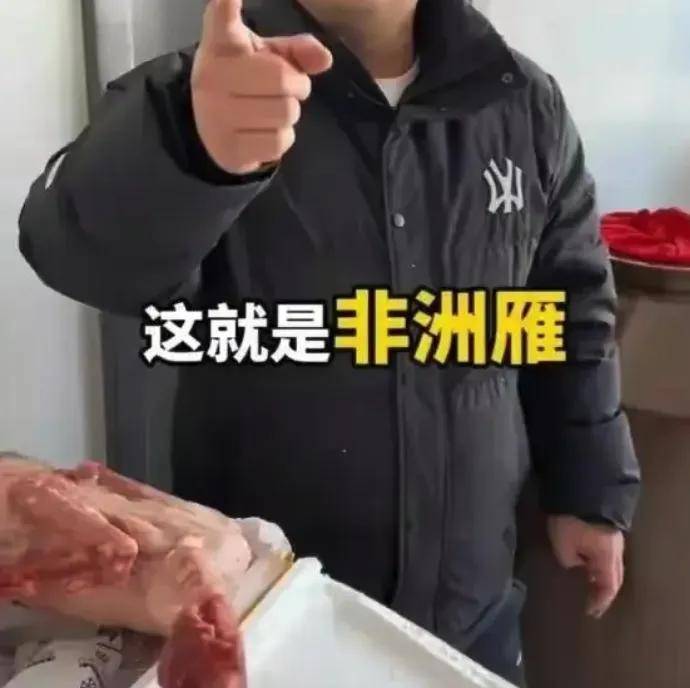 东北雨姐摆拍后又被爆打人？网红就应该断了带货念头……