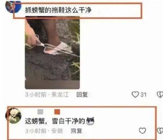 东北雨姐摆拍后又被爆打人？网红就应该断了带货念头……