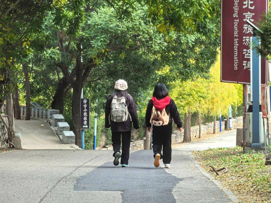 长城飞瀑聚红叶，天字一号京城媒体人金秋自驾响水湖长城 