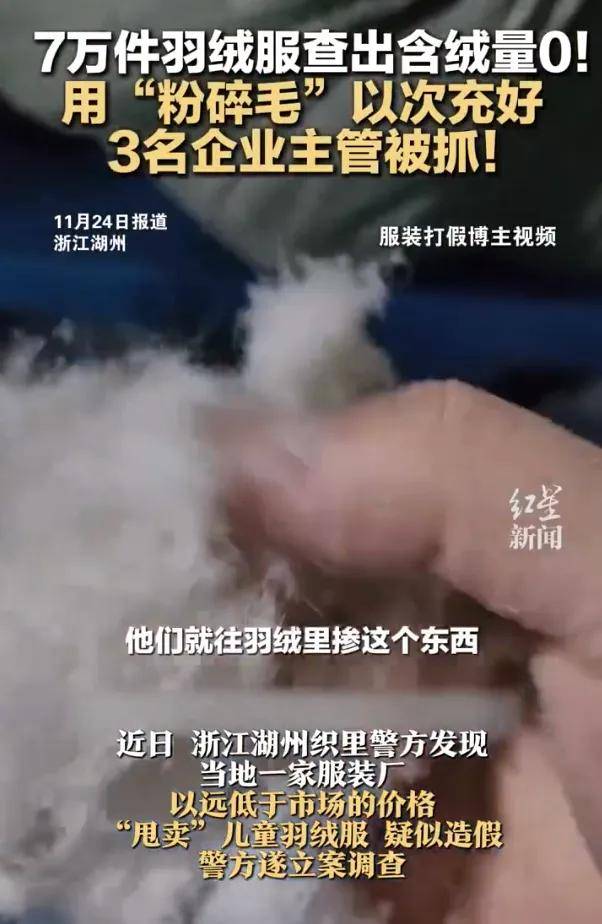 有猪狗毛就是没羽绒！造假手段毒辣，他们对孩子下手了！