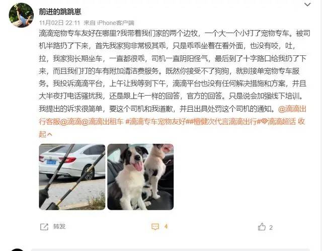 出行市场，终于开始“争抢”宠物了